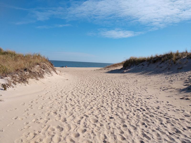 Cape Henlopen State Park - Lewes