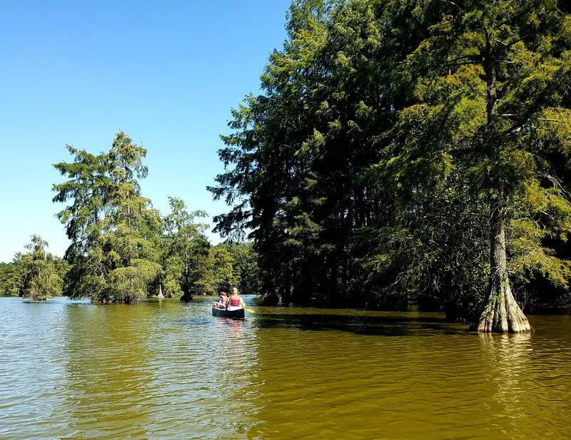 Kayak Through Trap Pond State Park - Laurel