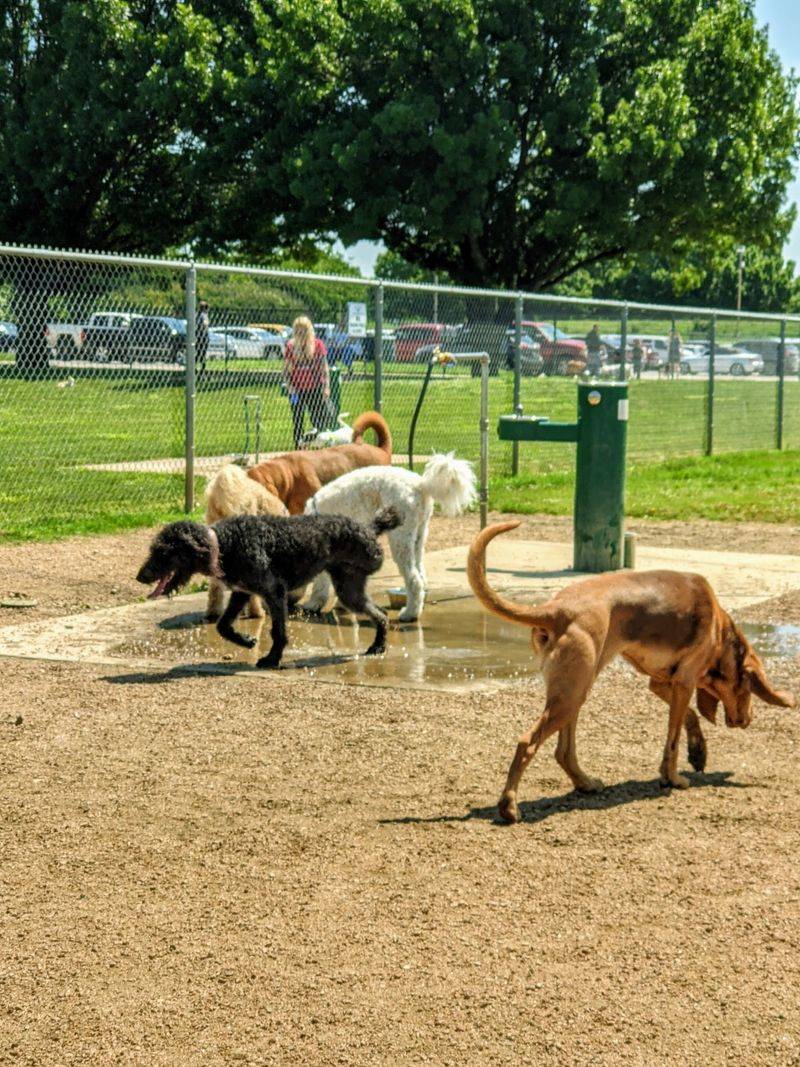 Fort Woof Dog Park - Fort Worth