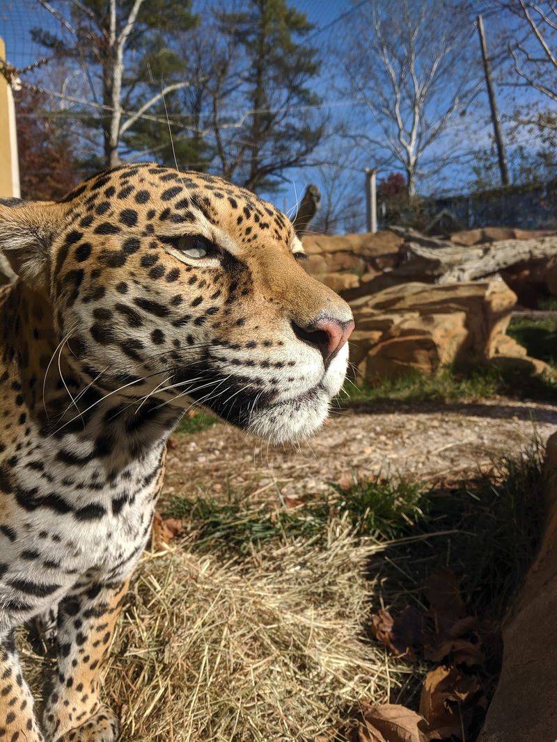Conservation Lessons Sneak In With The Fun