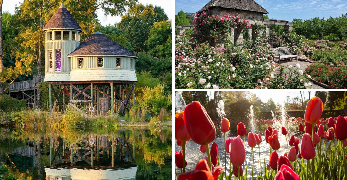 Why This Virginia Garden Is Packed on Random Weekdays (And How to Beat the Crowds)