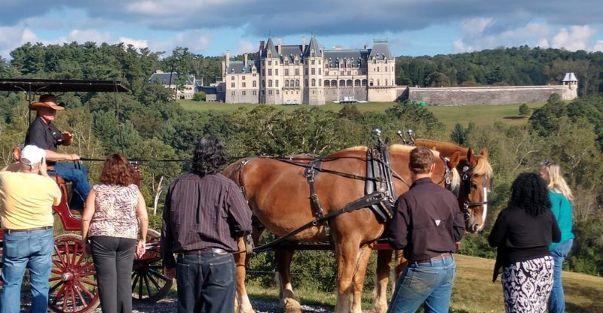 A Horse-Drawn Carriage Ride Through The North Carolina Mountains Feels Like A Storybook Come To Life
