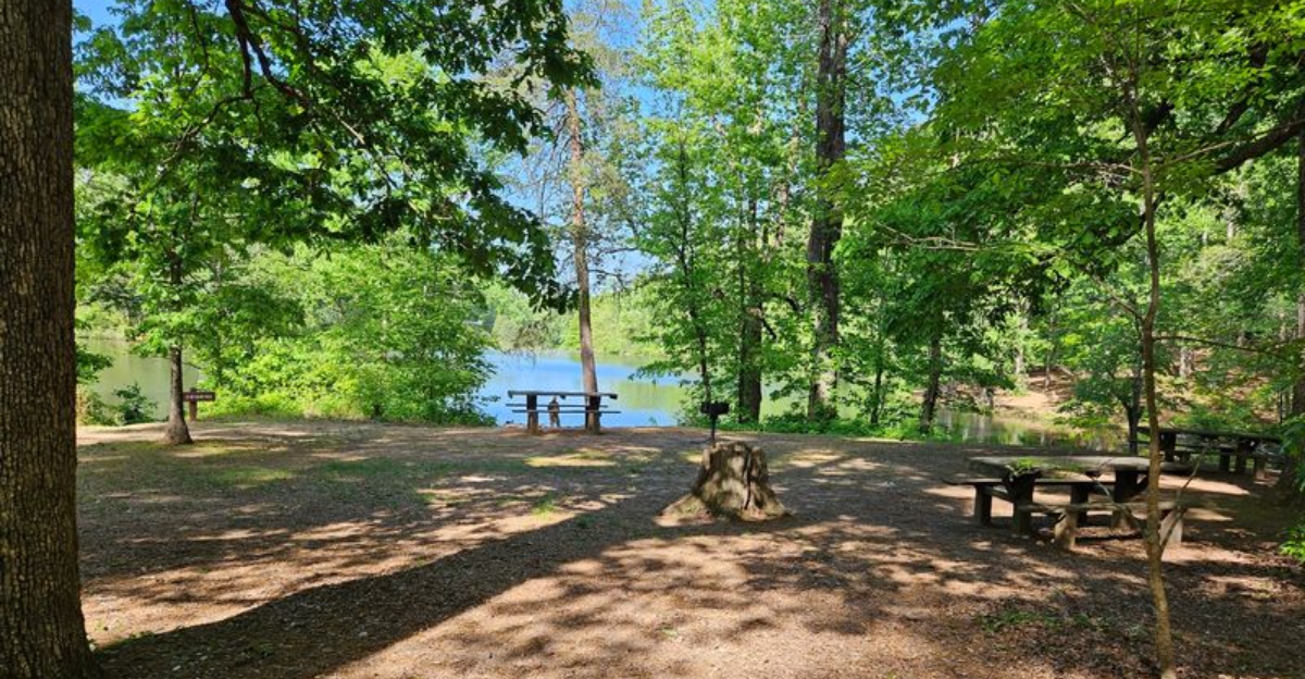 South Carolina’s 10 Scenic Summer Picnic Spots That Are Perfect For A Peaceful Getaway