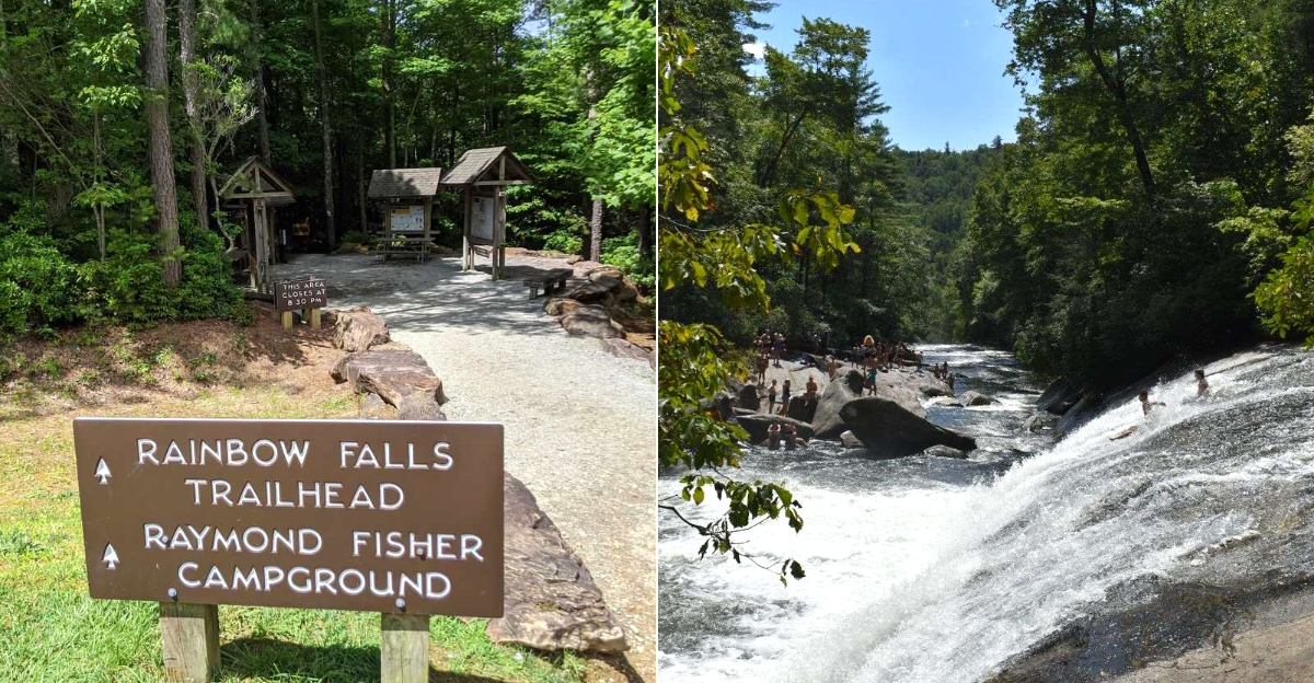 This North Carolina Park Feels Like Costa Rica Without Ever Leaving The Country