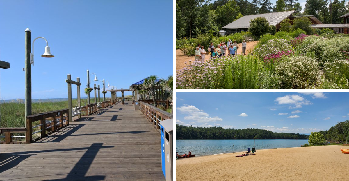 14 Low-Cost Things to Do in North Carolina That Feel Like Premium Experiences