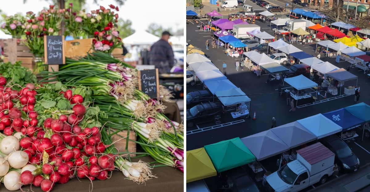 The Best August Produce We Found Was Waiting At These Virginia Farmers Markets