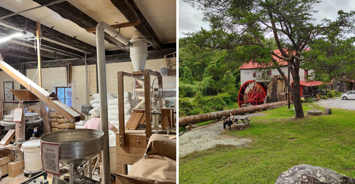 This 250-Year-Old North Carolina Mill Still Grinds Grain And Serves Its Famous Sweet Potato Muffins