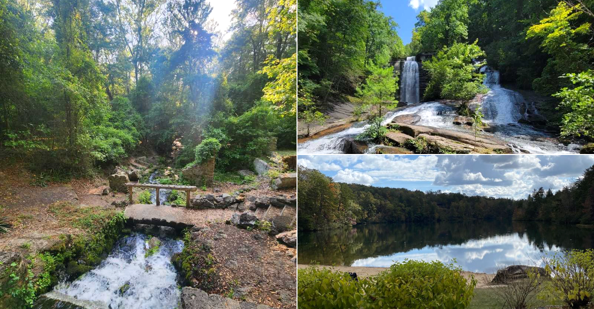 These 10 Short South Carolina Hikes Under 5 Miles Lead To Views Worth The Walk