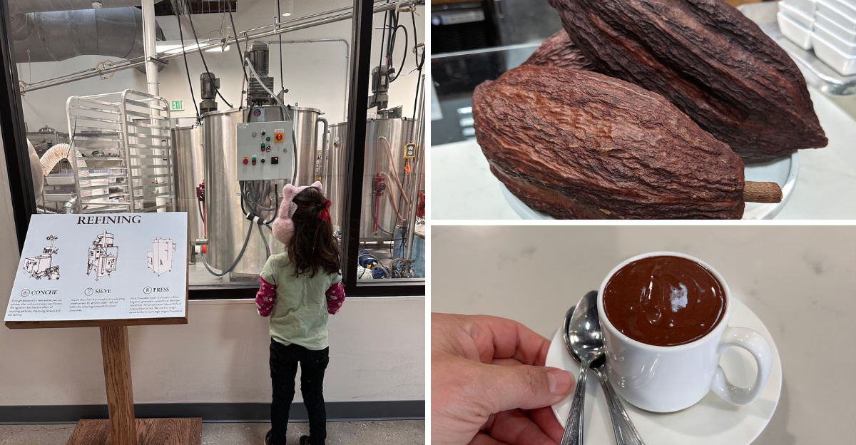 Watch The Chocolate-Making Process From Start To Finish At This North Carolina Factory