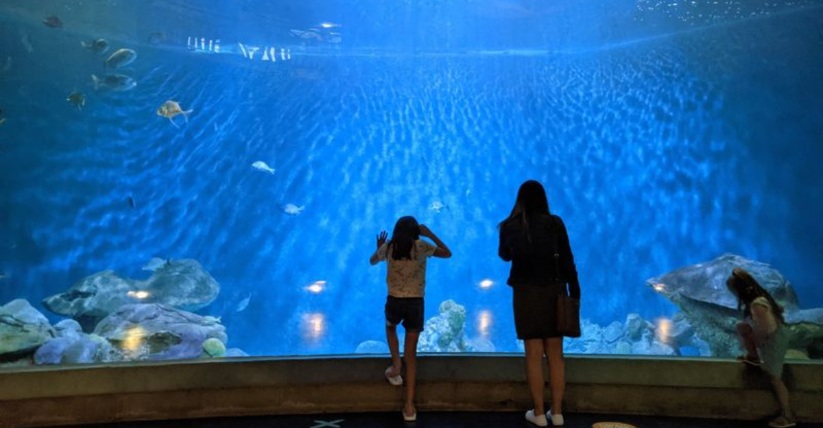 We Found 10 Iowa Museums That Were Far More Exciting Than We Imagined