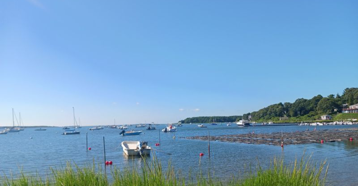 This Undeveloped Massachusetts Island Has Ten Campsites You Can Only Reach By Kayak, Canoe Or Boat