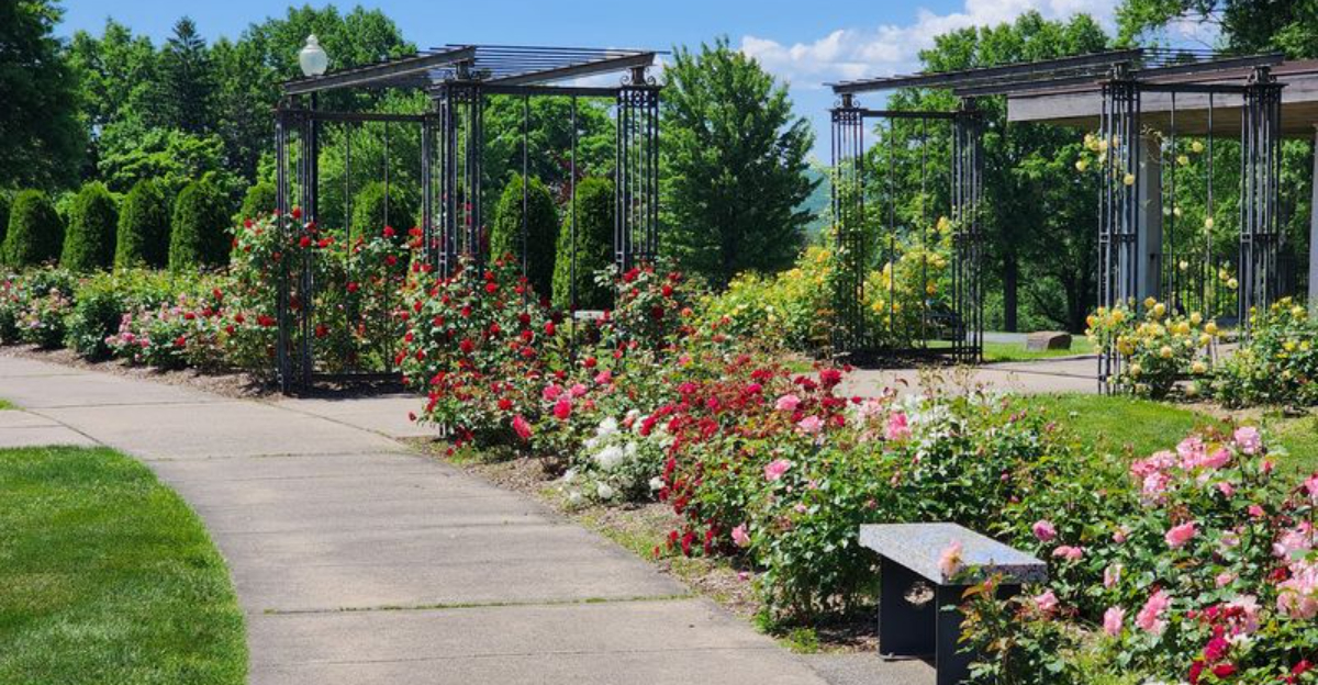 10 Public Gardens In Connecticut With Free Admission That Made Me Fall In Love With Every Visit