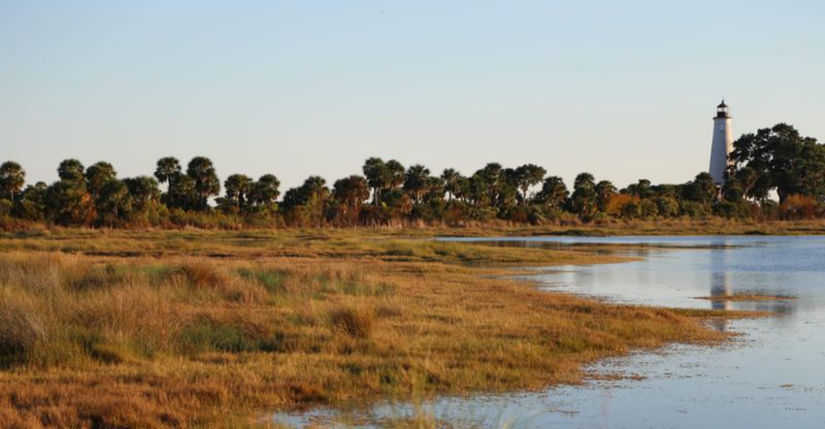 One Of The Oldest National Wildlife Refuges In America Sits On 43 Miles Of Florida’s Gulf Coast