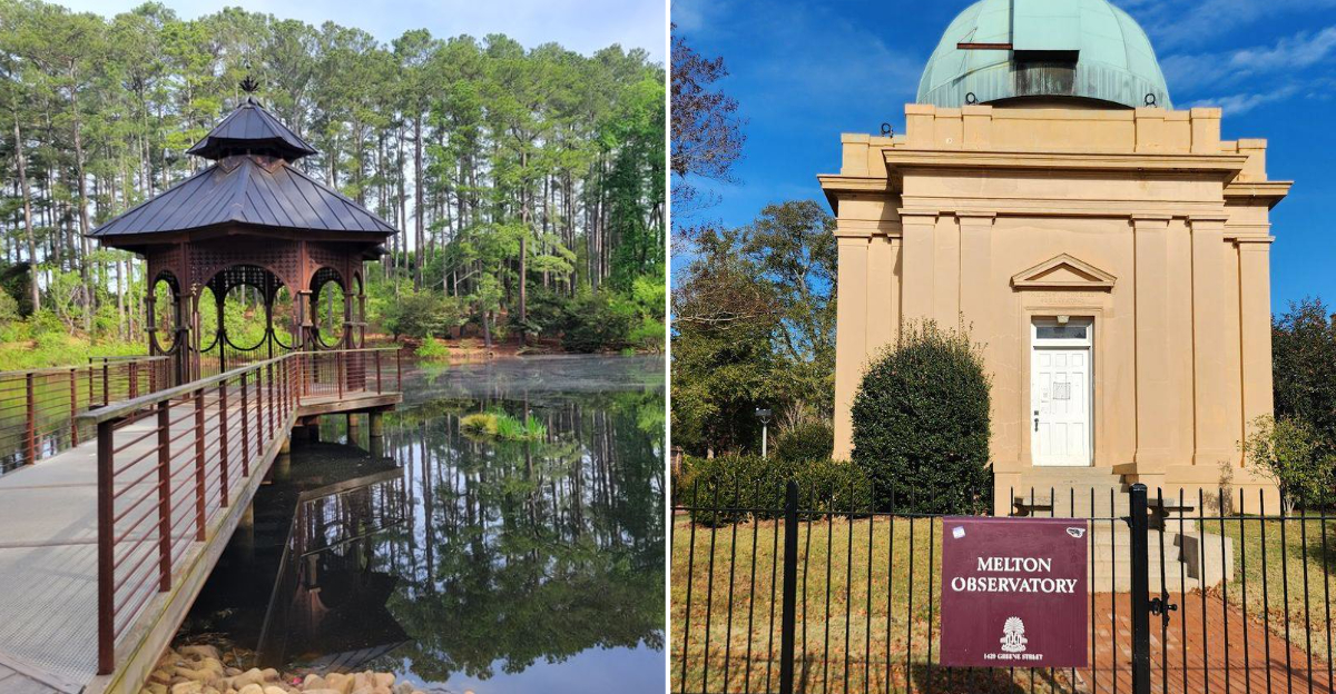 10 Free Attractions In South Carolina That Belong On Every Affordable Travel List