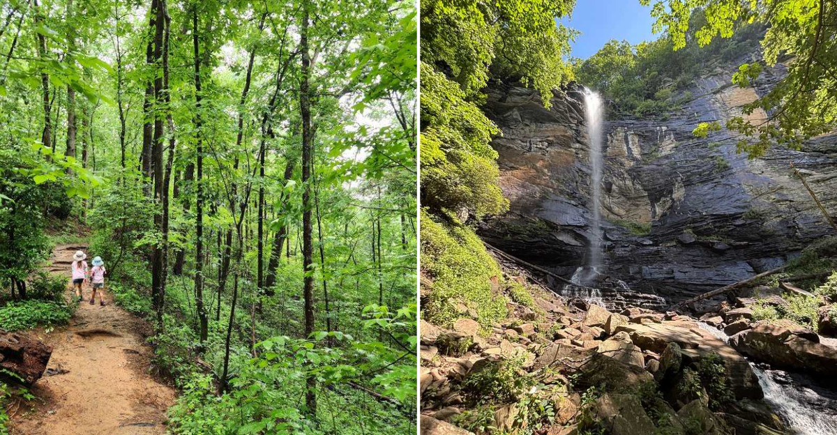 10 South Carolina Hikes That Are Perfect For Cooler Days And Beautiful Scenery