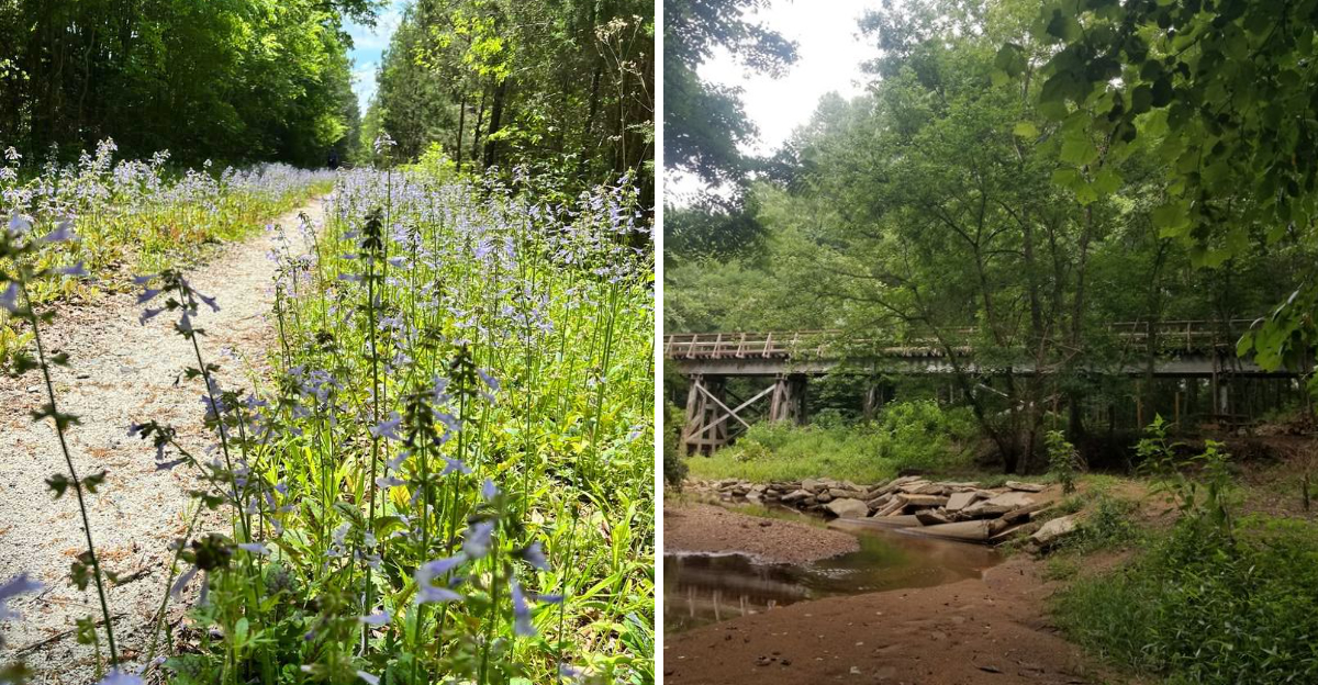 This South Carolina Trail Crosses 14 Bridges And Winds Through Long Tree Tunnels