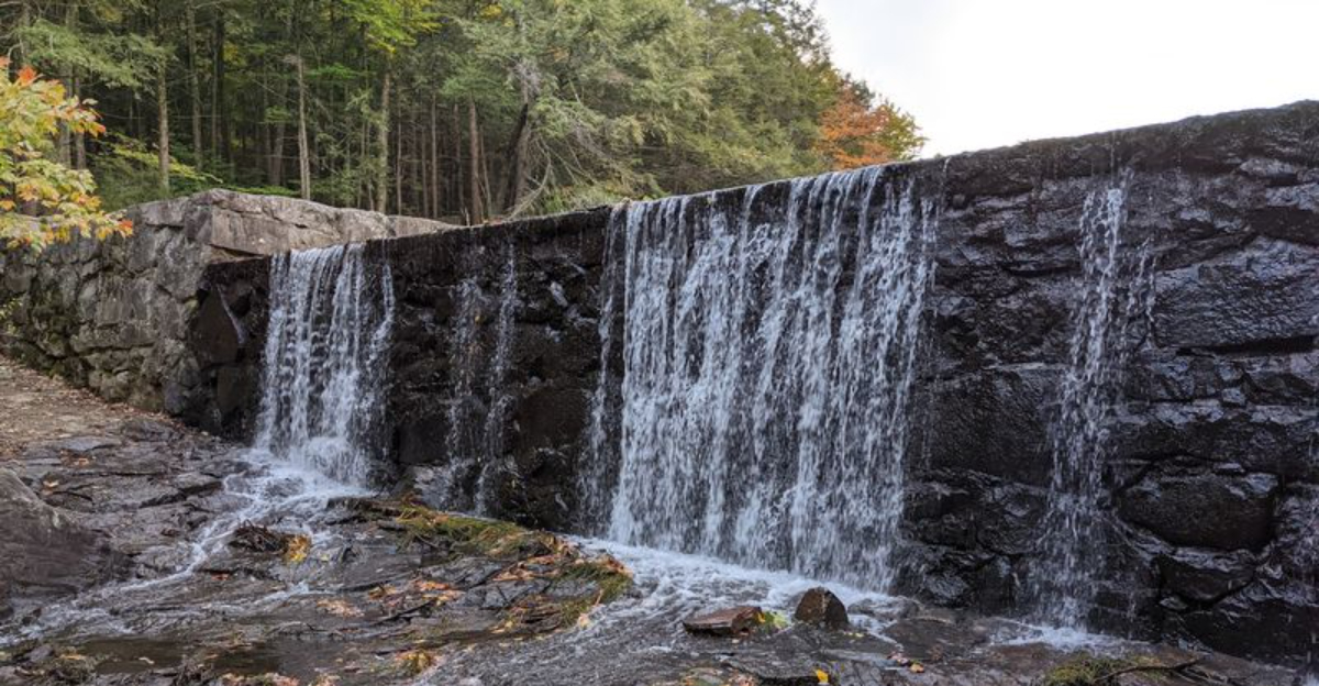 Hike Through This Connecticut Forest to Find Borden’s Lost Factory