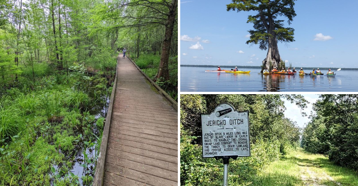 The Unexpected Wilderness Less Than an Hour From Virginia’s Biggest Cities