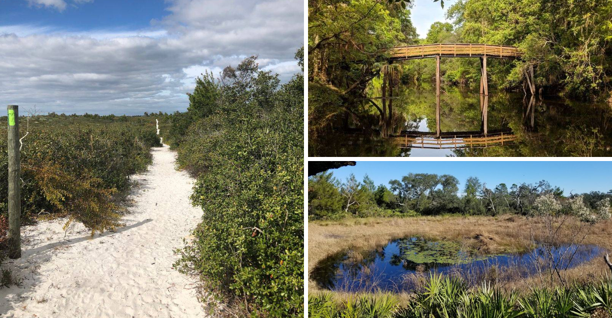 10 Florida Hikes That Reveal A Beautiful Side Of The State Beyond The Beaches
