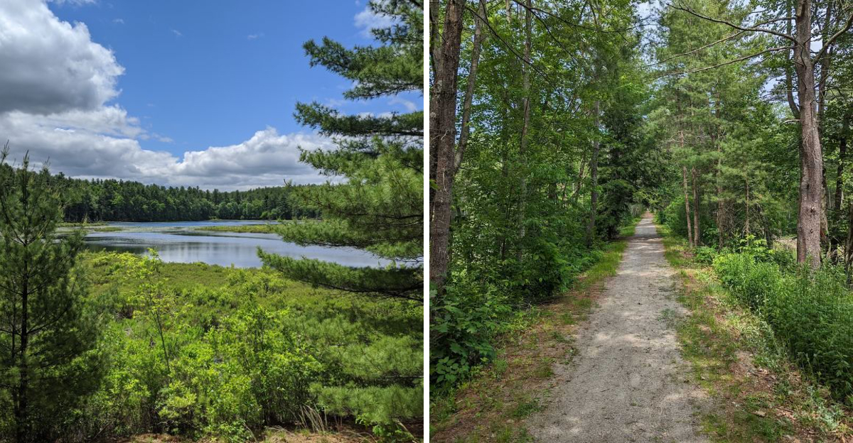 This Massachusetts Rail Trail Could Be The Underrated Biking And Walking Path You’ve Been Missing