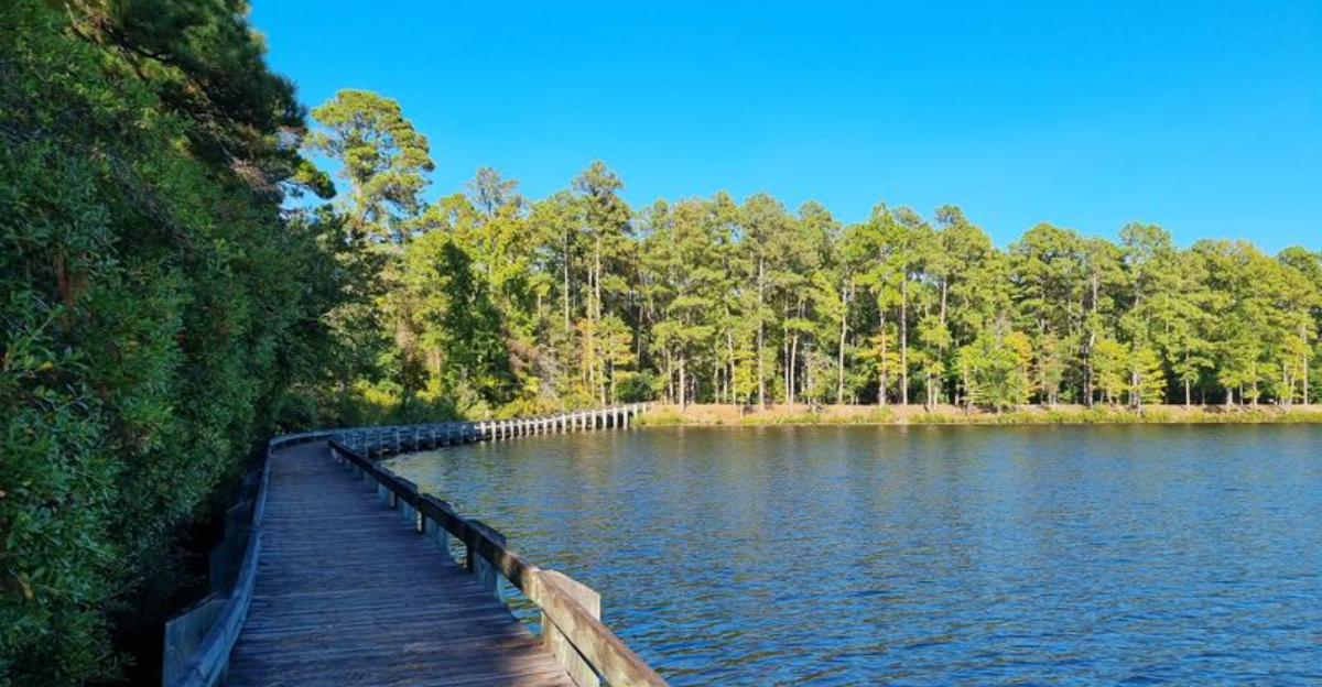This South Carolina State Park Is A Quiet Escape Of Cypress Trees, Calm Water And Wildlife