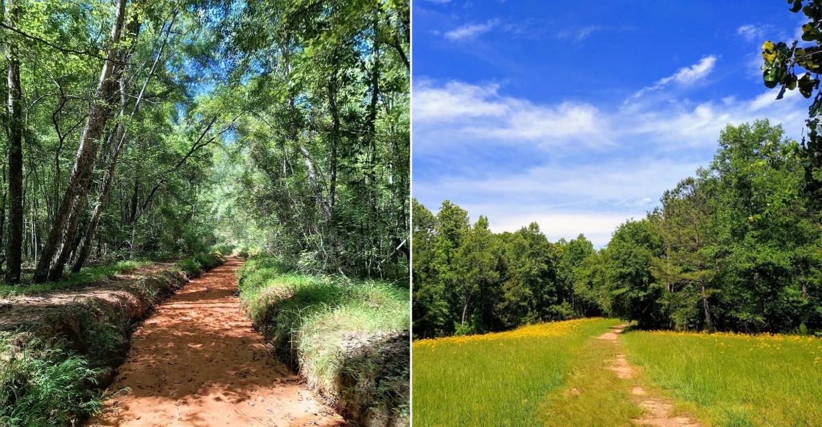 The 11 Georgia Hikes I’d Choose For A Scenic Late Summer Day Outdoors