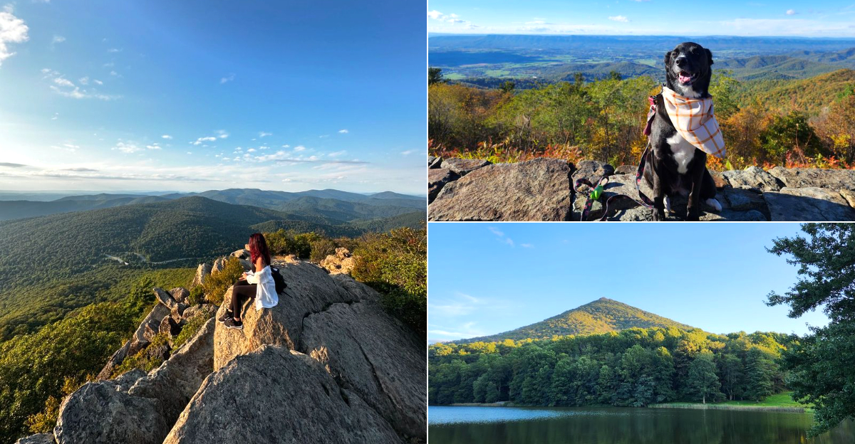 12 Observation Towers In Virginia Offering Some Of The Most Incredible Views In The State