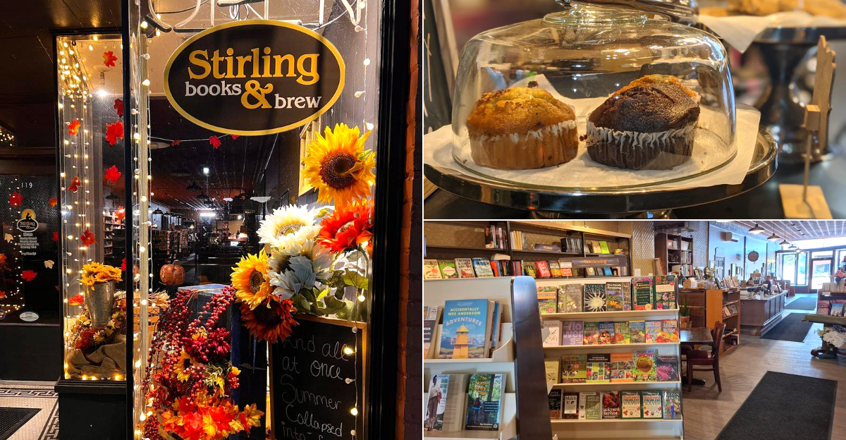 This Michigan Bookstore Invites You To Stay For Coffee, Conversation And Your Next Great Read
