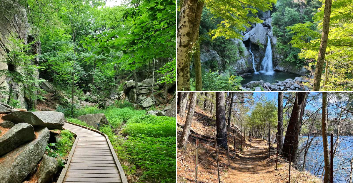 11 Massachusetts Hikes Worth Taking Before Summer Ends For Fresh Air And Stunning Views
