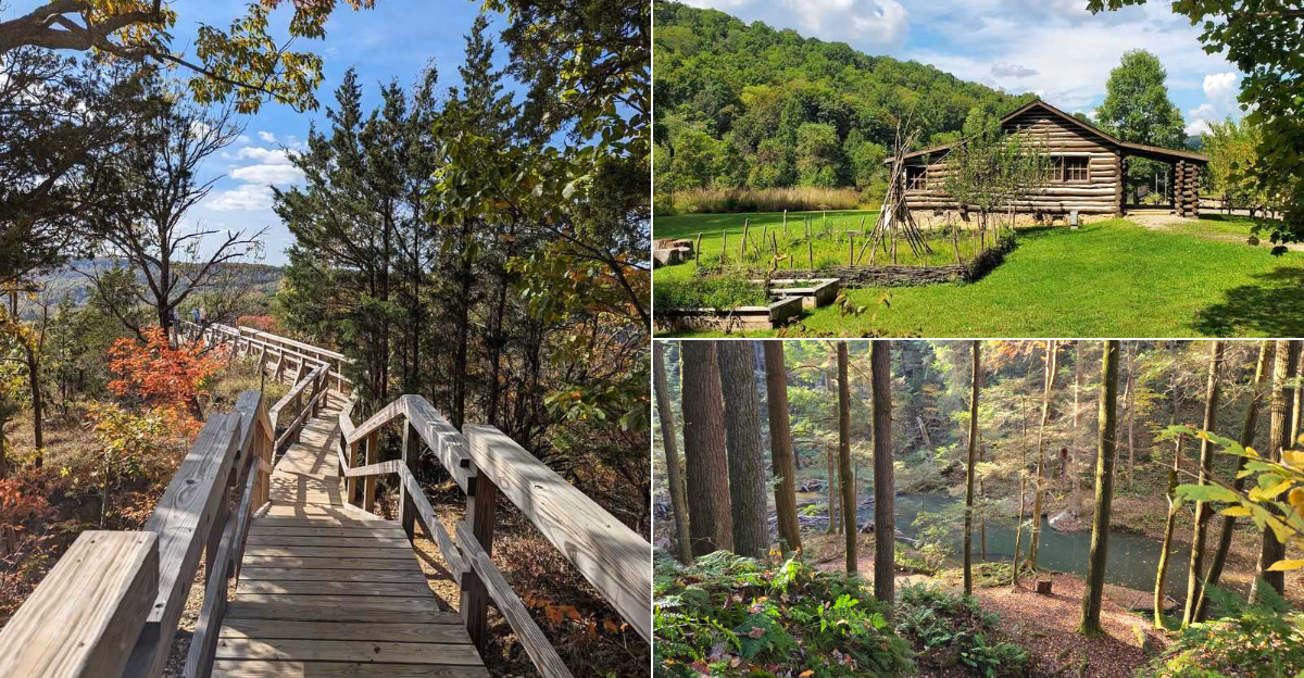 The 10 Ohio Hikes I’d Recommend For Peaceful Trails And Beautiful End Of Summer Scenery