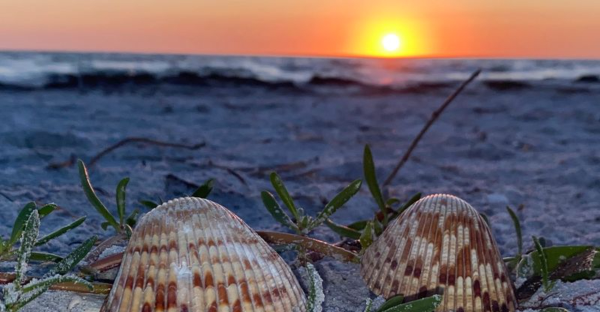 This Florida Island Pairs Four Miles Of Beach With Osprey Trails And Gulf Sunsets