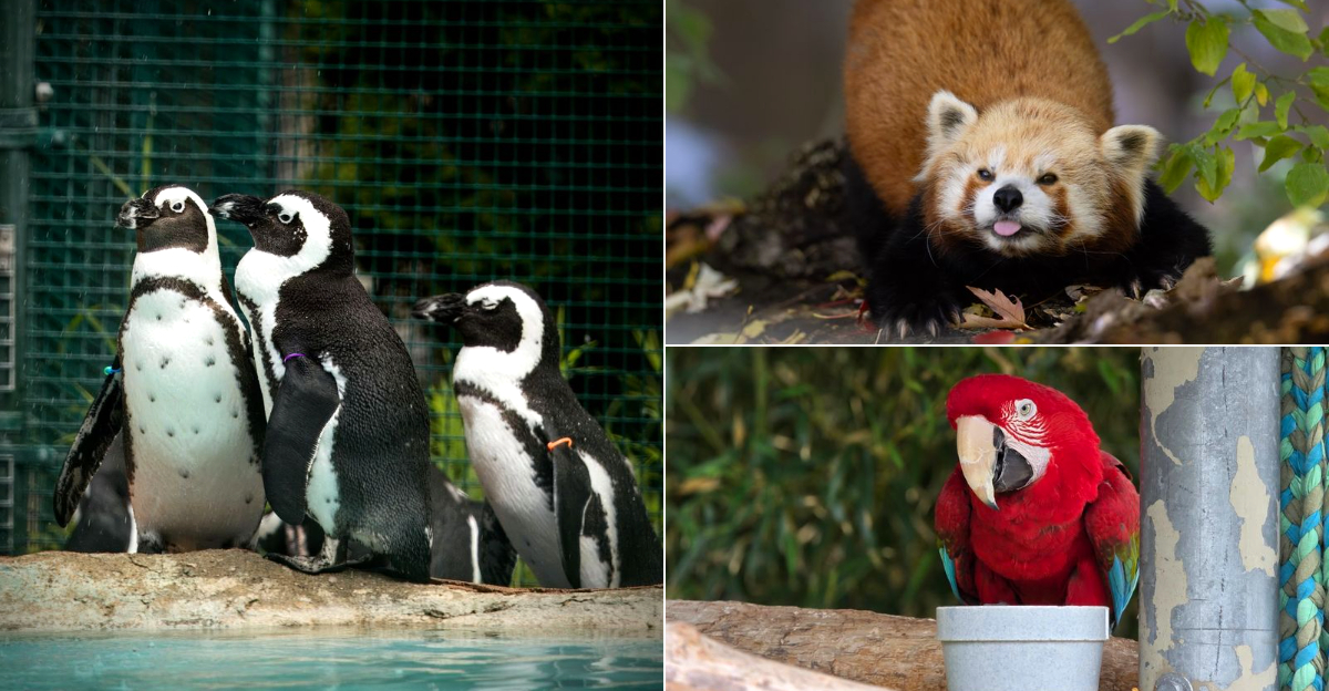 I Found 11 Michigan Animal Farms Where Visitors Can Get Close And Feed The Animals