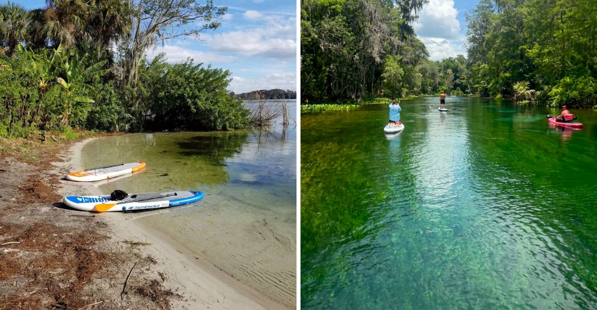 13 Florida Paddleboarding Spots Perfect for Calm Water and Warm Weather Adventures