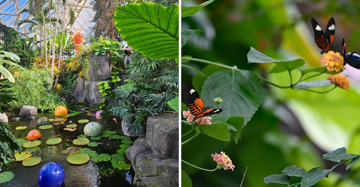 This Ohio Conservatory Was The First In The Nation To Run A Seasonal Butterfly Exhibit