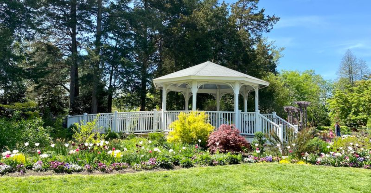 12 Public Gardens In Virginia With Free Admission That Are Perfect For A Relaxing Day Outdoors