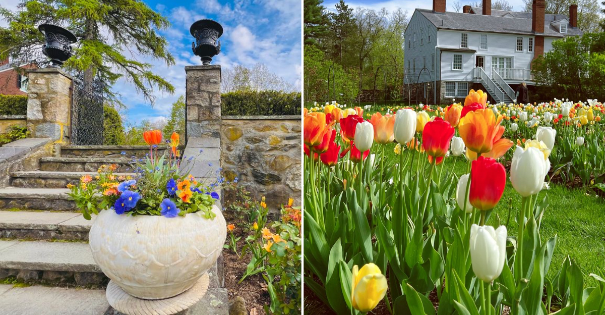 Find Absolute Serenity Inside This Hidden European Style Secret Garden in Massachusetts