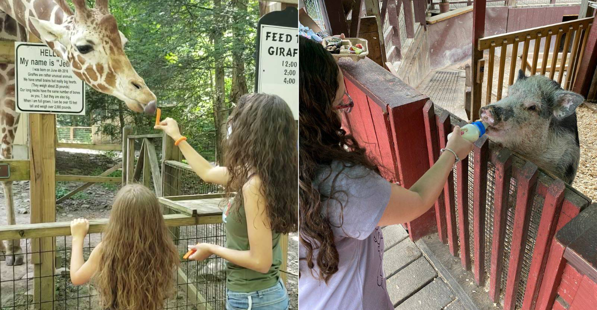 12 Pennsylvania Places To Feed Animals That Kids And Adults Will Love Visiting