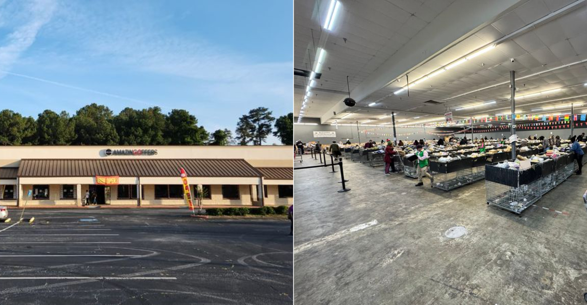 The Massive Georgia Bin Store Where $25 Fills Your Whole Trunk