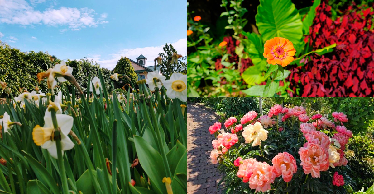 A Six Acre North Carolina Botanical Garden Packs In More Than 25 Individually Styled Garden Rooms