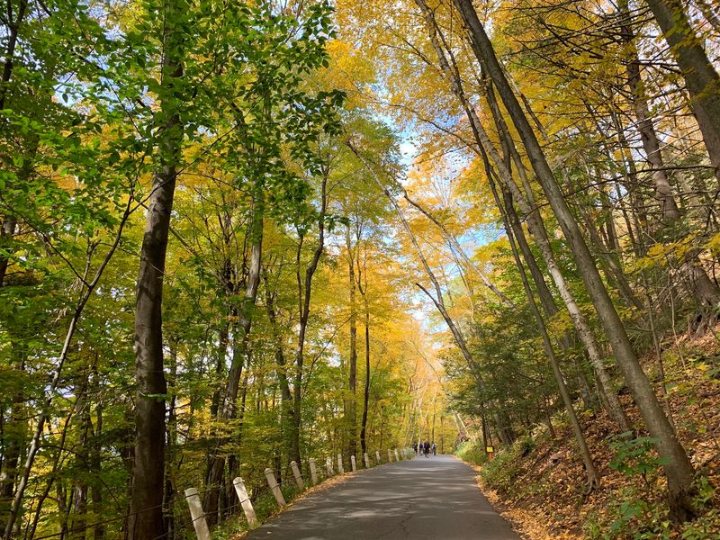 Mount Sugarloaf Trail - South Deerfield