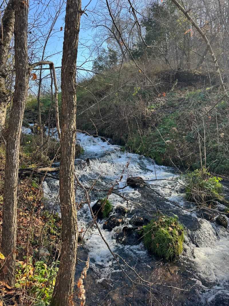 Ridge View Trail - Osceola