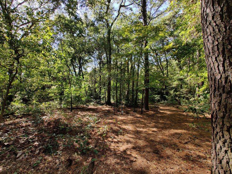 Weyanoke Bird & Wildflower Sanctuary - Norfolk
