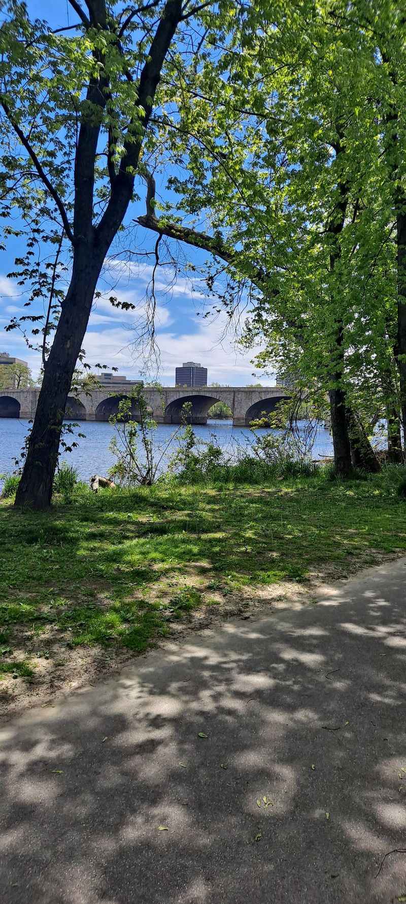 Hartford Riverwalk, Hartford