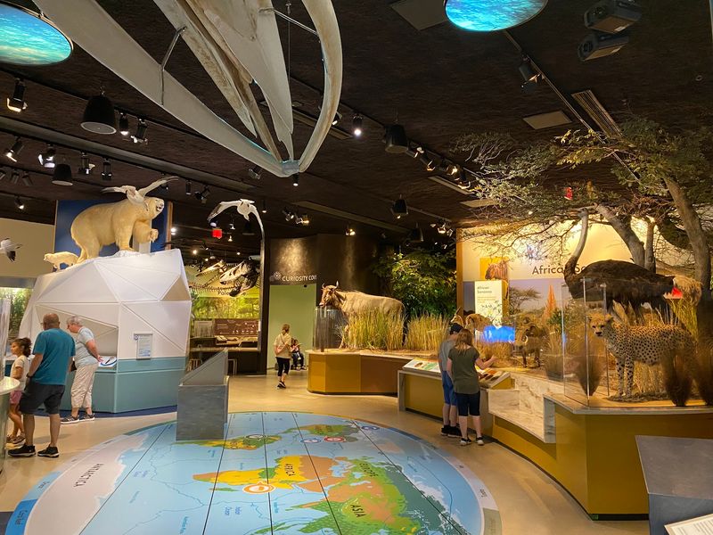 Delaware Museum of Nature & Science - Wilmington
