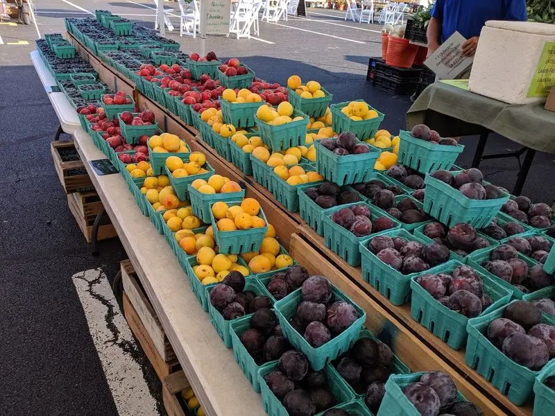 Beechwood Orchards - Biglerville