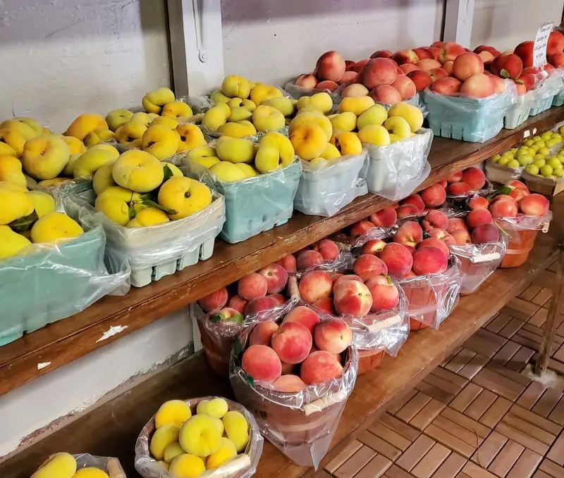 Heller Orchards - Wapwallopen