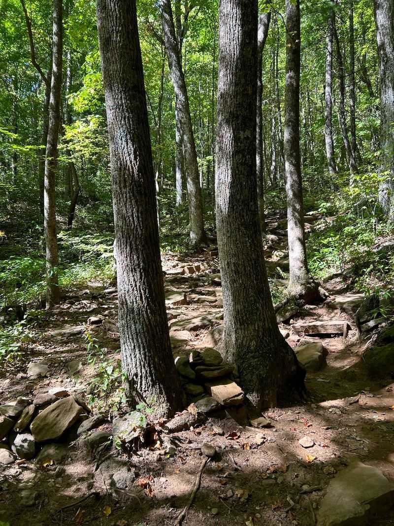 Blood Mountain Summit Trail, Blairsville, Union County