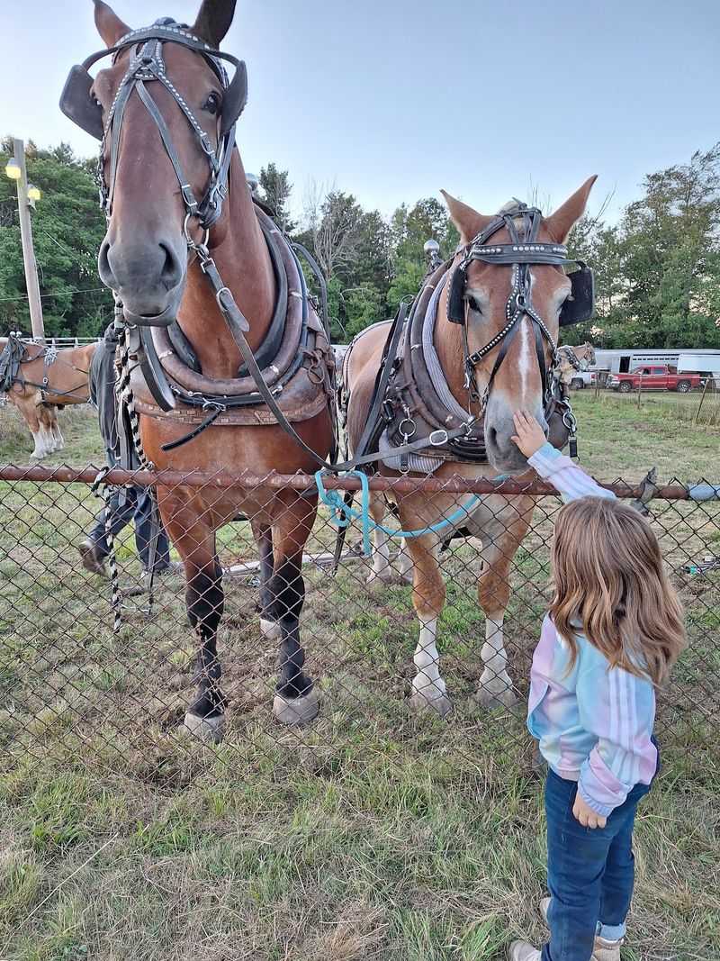 Blandford Fair: Hilltown Traditions and Loud Engines