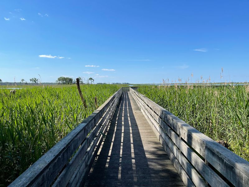 Prime Hook National Wildlife Refuge in Milton, Sussex County,