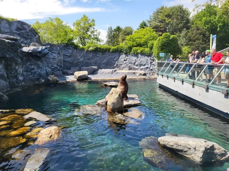 Mystic Aquarium, Mystic, New London County